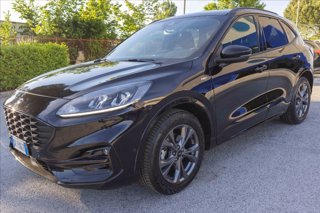 FORD Kuga 2.5 full hybrid ST-Line 2wd 190cv cvt